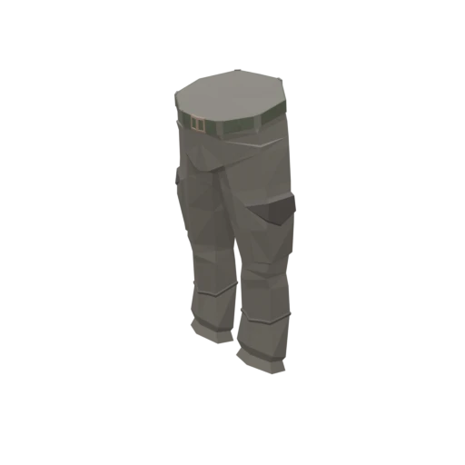 Cargo Pants