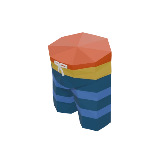 Swimming Trunks