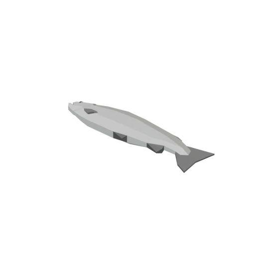 Large Raw Fish