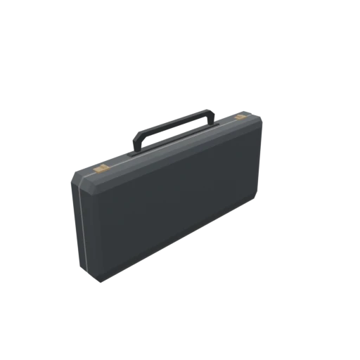 Weapons Case
