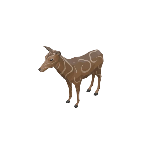 Deer